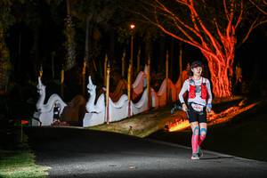 BIB: 64399
                            <button type="button" onclick="openModal(22513113)" class="btn btn-primary btn-sm float-right btn-popup" data-toggle="modal" data-target=".modal-high-quality">
                        <i class="fas fa-shopping-cart"></i> Add to Cart
                    </button>
                                            <button type="button" onclick="isThisMe(22513113, true)" class="btn btn-success btn-sm float-right btn-popup btn-isme hidden" data-toggle="tooltip" data-placement="bottom" title="นี่คือรูปของคุณใช่ไหม คลิกที่นี่เพื่อเอาเข้าอัลบั้ม">
                        <i class="fas fa-plus"></i> Add to album
                    </button>
                    <button type="button" onclick="isThisMe(22513113, false)" class="btn btn-warning btn-sm float-right btn-popup btn-isnotme hidden">
                        <i class="fas fa-ban"></i> Remove from album
                    </button>